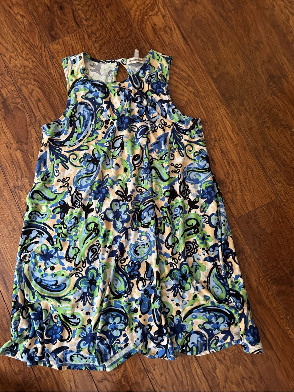 Women’s  Sleeveless Paisley Swing Dress in Blue & Green